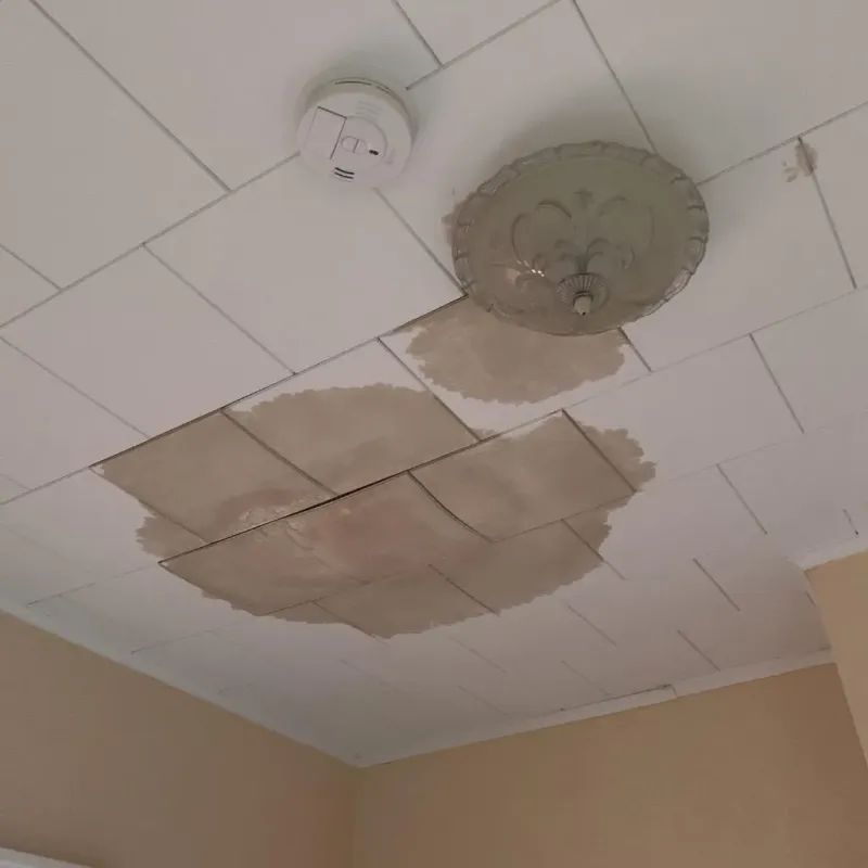 Ceiling Water Damage Repair in Stuarts Draft, VA